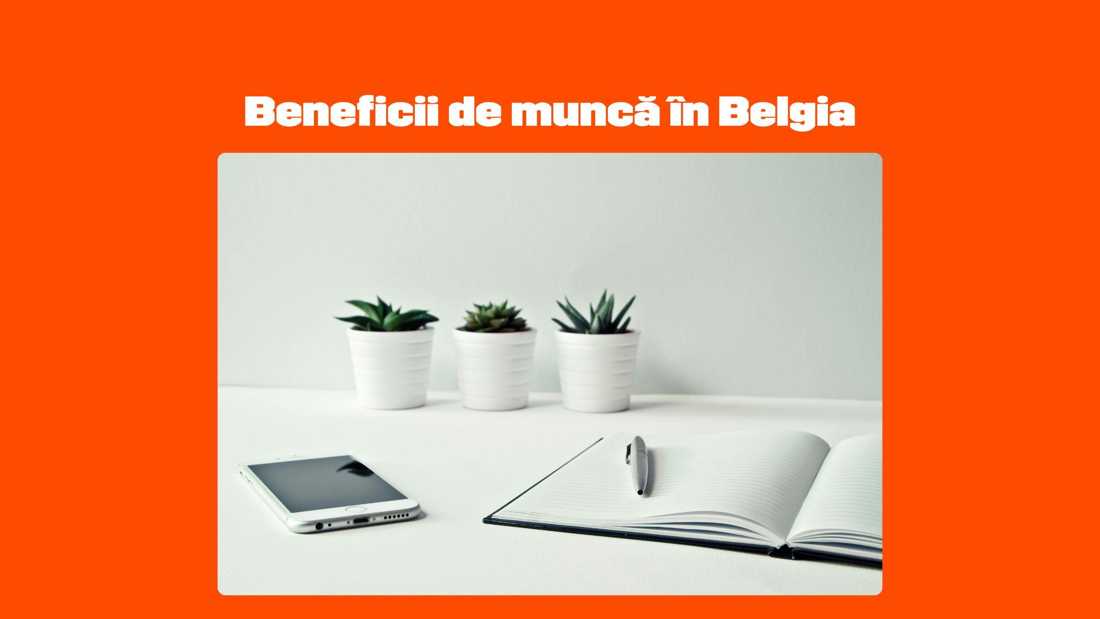Belgian work benefits